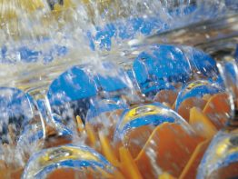 baskets and water treatments baskets and water treatments